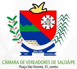 Câmara de Saloá 2