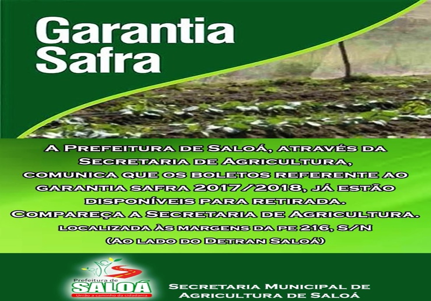 Garantia Safraq